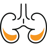 Nephrology