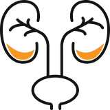 Urology